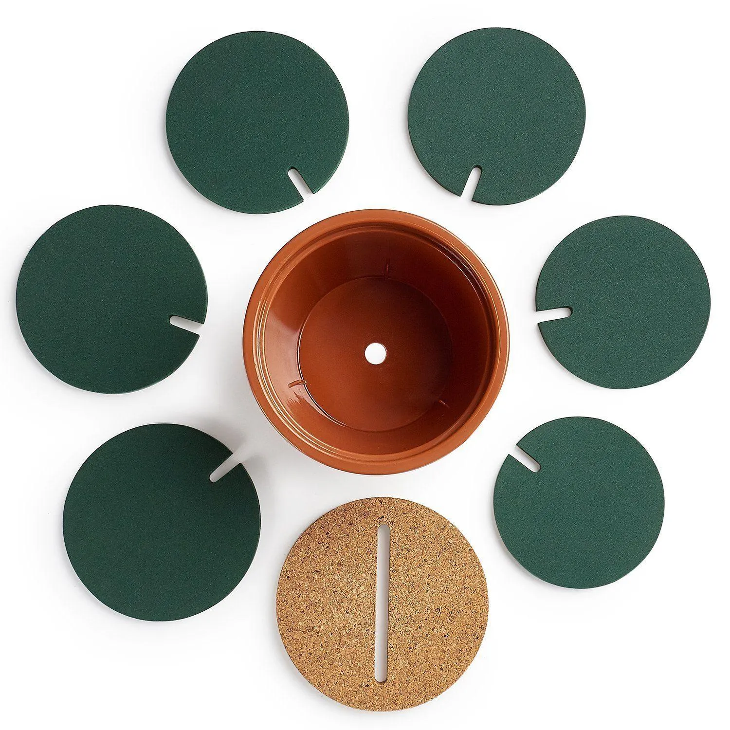 Cactus Shaped Coasters 6 Pcs Set