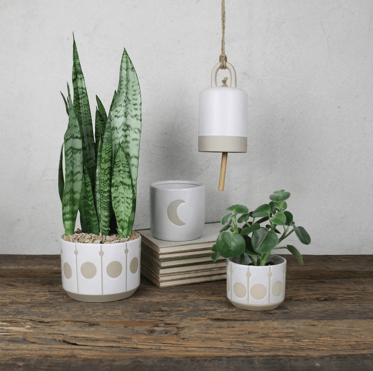Cielo Cachepot with Circles
