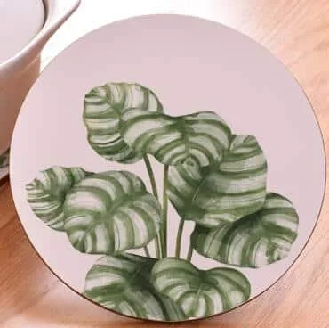 Plant Print Round Coaster