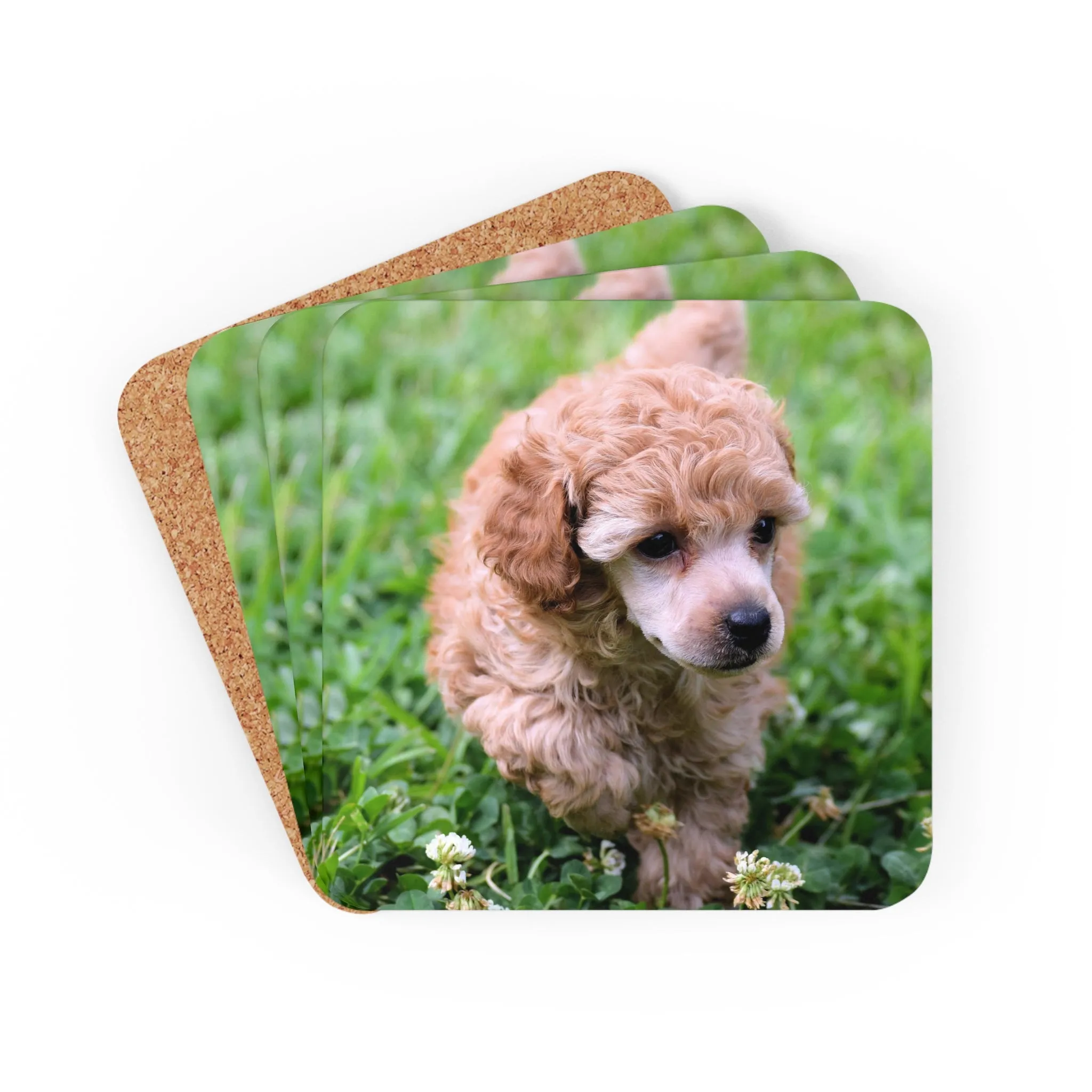 Poodle Coasters - Set of 4 Hardboard Coasters - Radiant Red Poodles - April